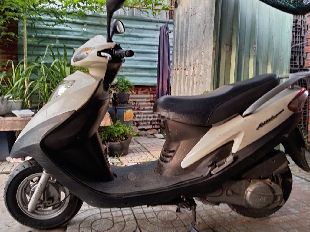Cần b 2008 - ảnh 1