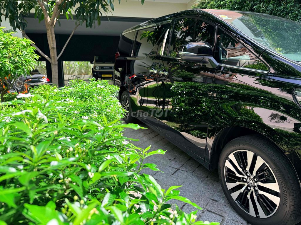 Toyota Alphard - ảnh 3