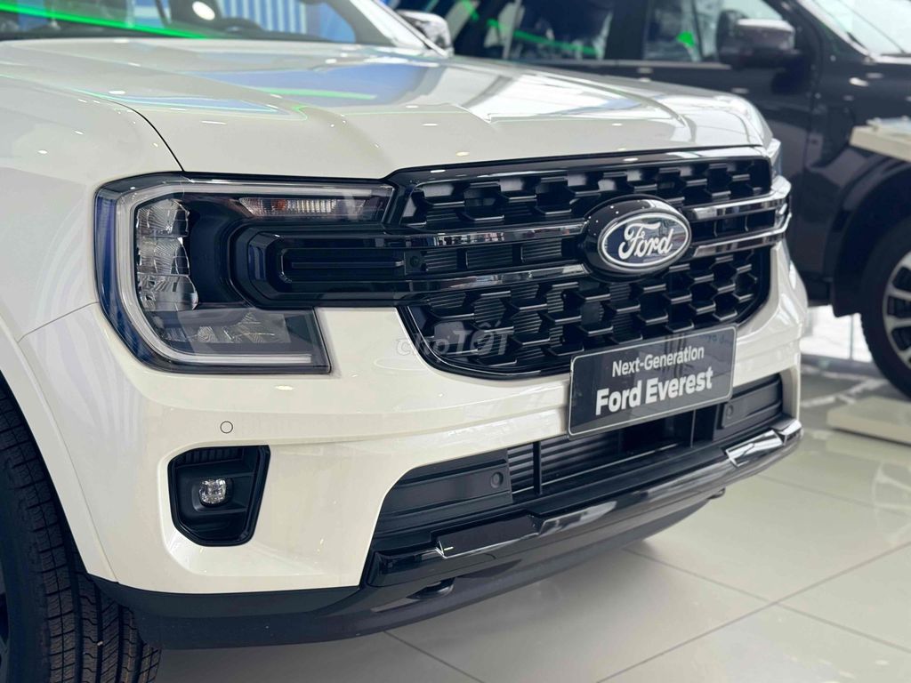 Ford Everest - ảnh 2