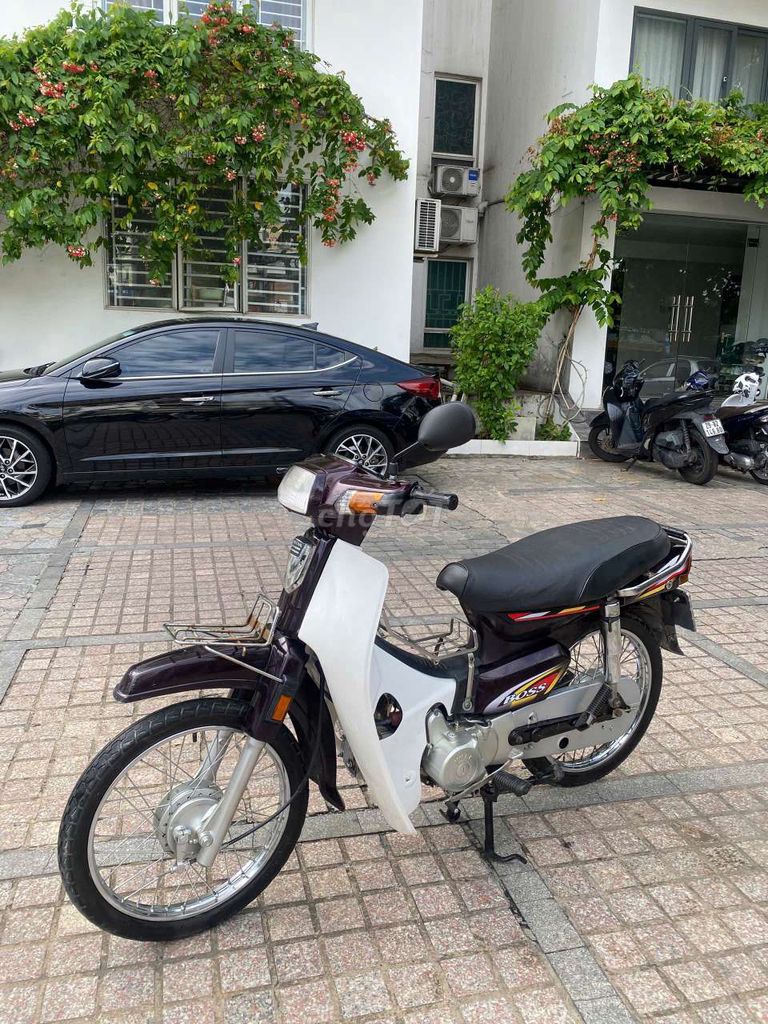 xe dream 2007 - ảnh 1