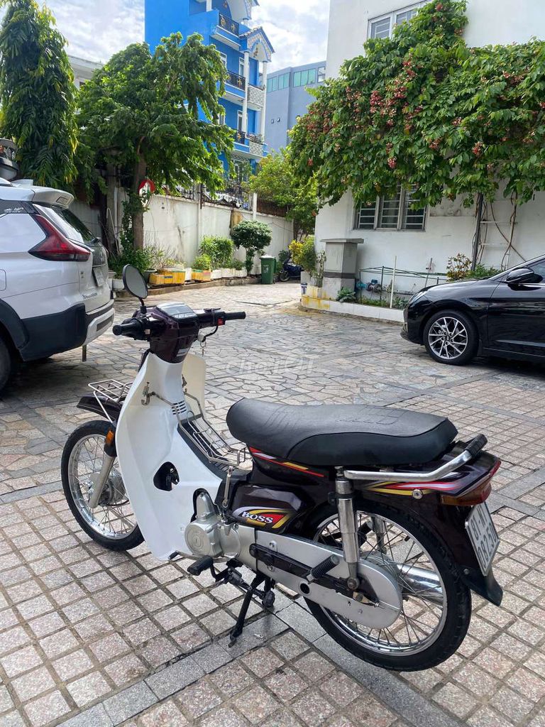 xe dream 2007 - ảnh 3