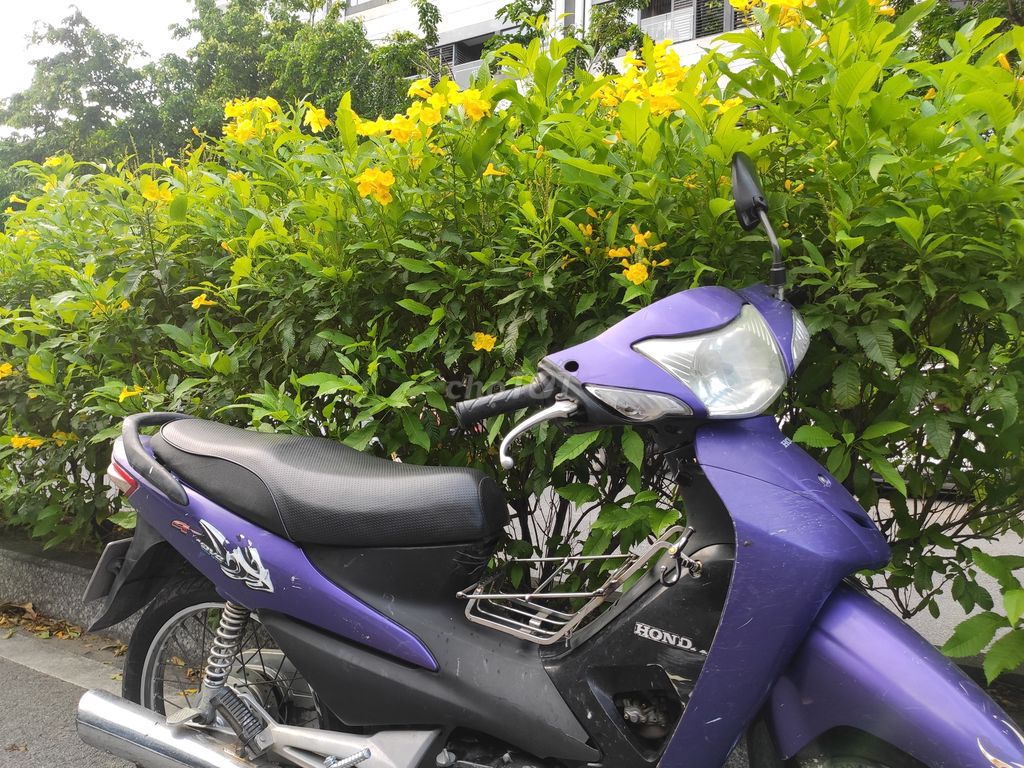 Honda Wave 2007 - ảnh 2