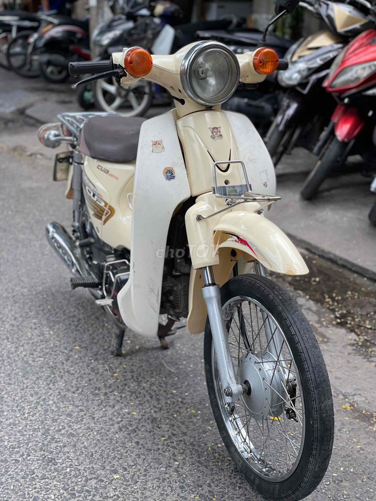 Cub 2020 - ảnh 1