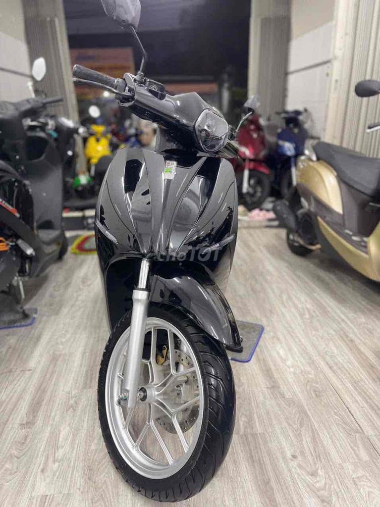 Xe m 2025 - ảnh 1