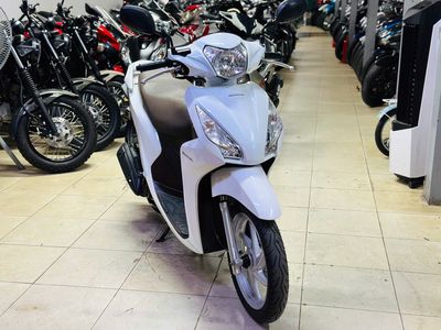 XE M 2019 - ảnh 1