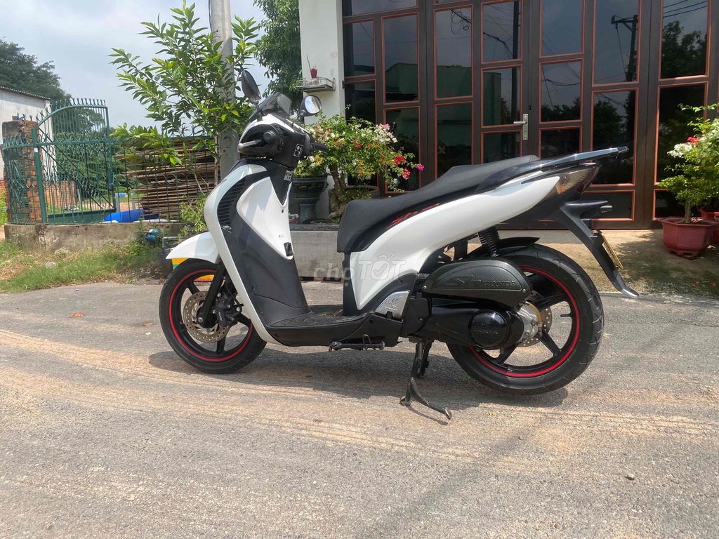 cần ra 2004 - ảnh 1