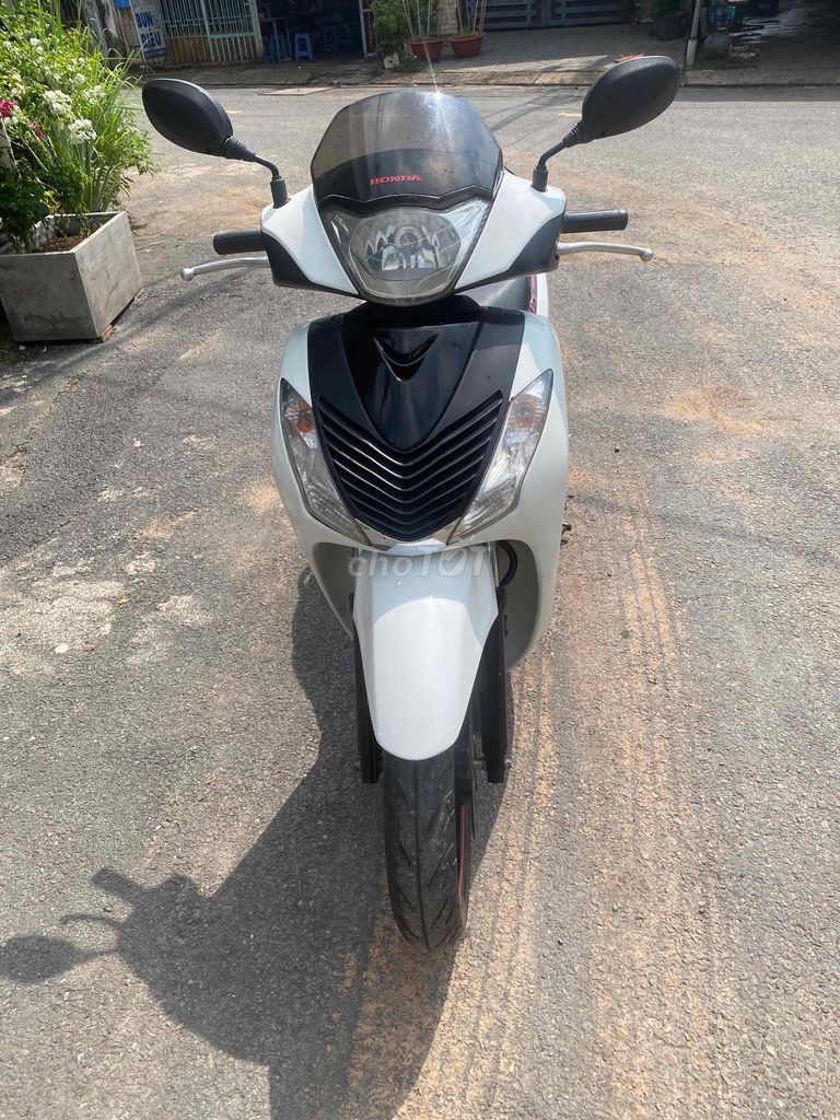 cần ra 2004 - ảnh 3