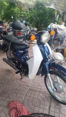 Victoria Cub 2020 - ảnh 1
