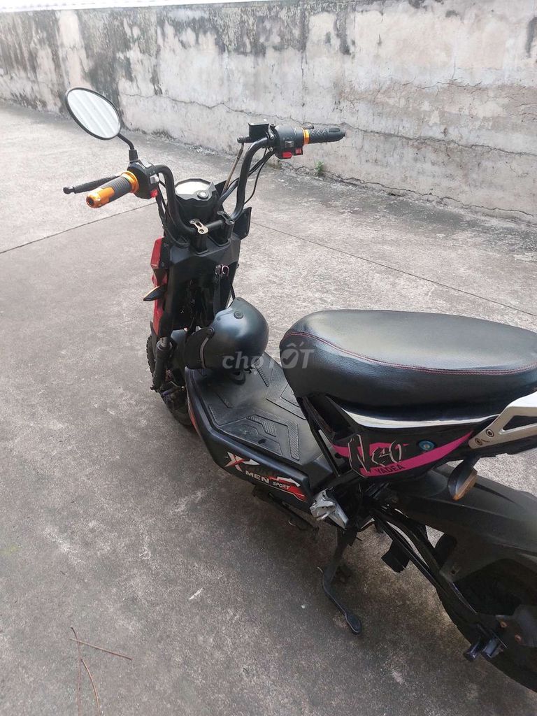 Xe 2020 - ảnh 4