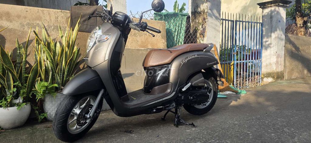 Honda Scoopy 2019 - ảnh 1