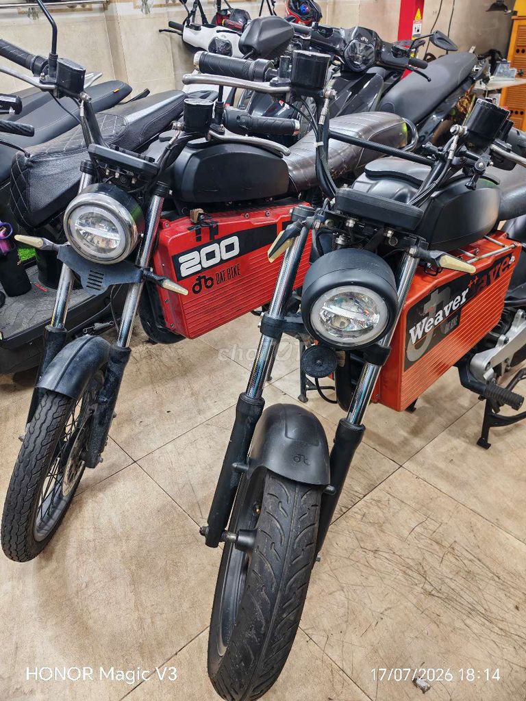 datbike wear 2022 - ảnh 2