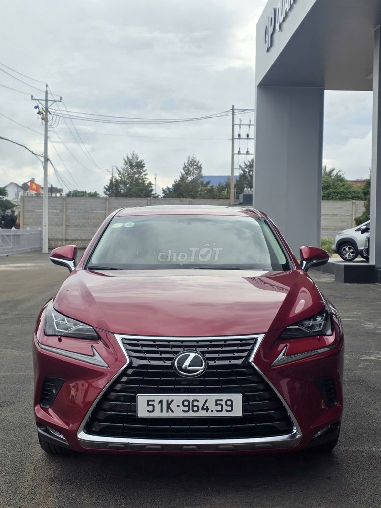 Lexus NX 2019 - ảnh 1