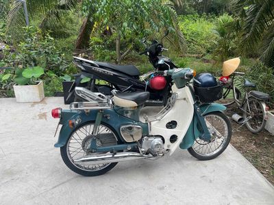 Honda Cub 1980 - ảnh 1