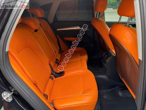 Audi Q5 2.0 AT 2018 - ảnh 5
