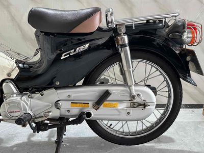 Cub 2021 - ảnh 1