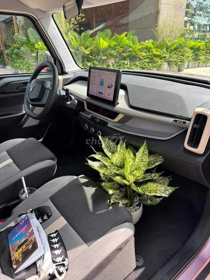 VinFast - ảnh 3