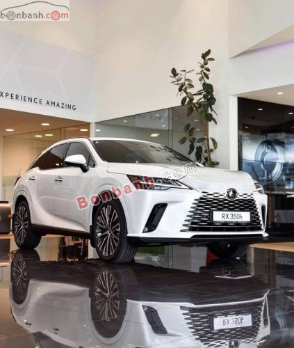 Lexus RX 350h Premium 2026 - ảnh 1