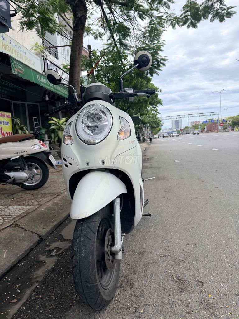 Honda Scoopy 2024 - ảnh 1