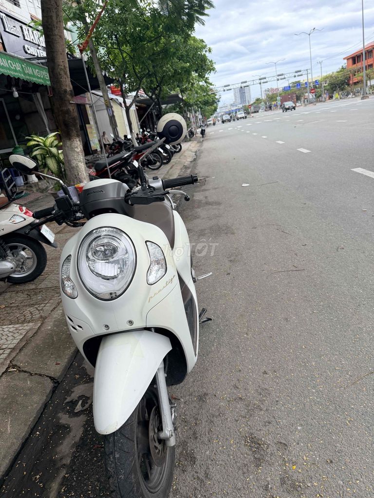Honda Scoopy 2024 - ảnh 2
