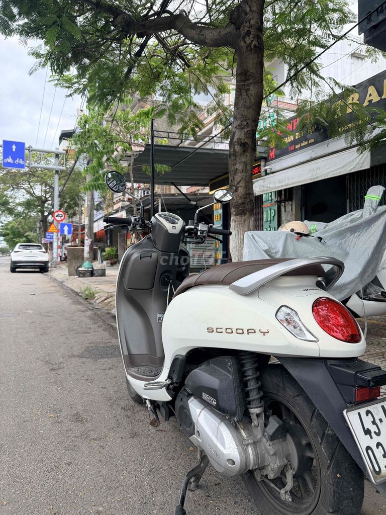 Honda Scoopy 2024 - ảnh 3