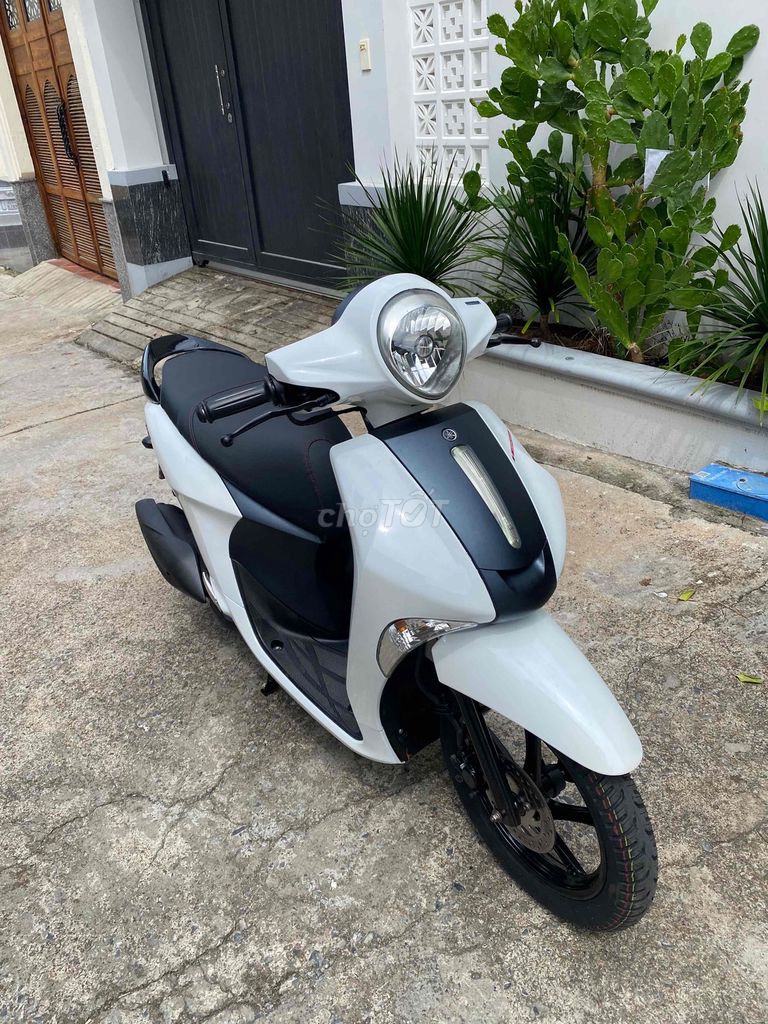 Yamaha Janus 2018 - ảnh 1