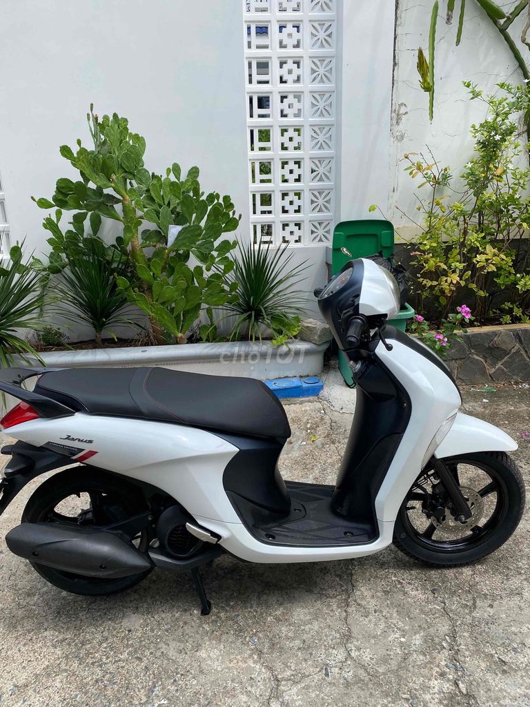 Yamaha Janus 2018 - ảnh 2