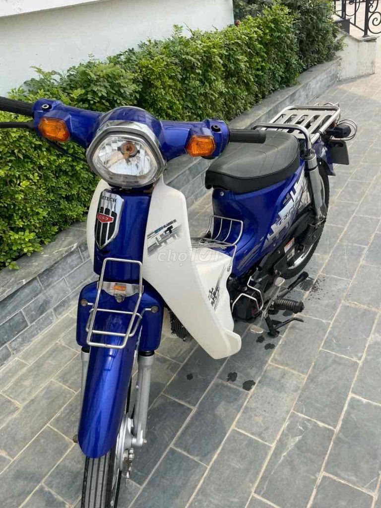 Thanh L 2021 - ảnh 1
