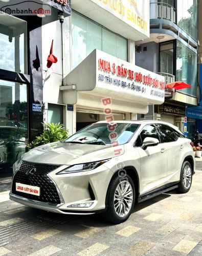 Lexus RX 300 2019 - ảnh 1