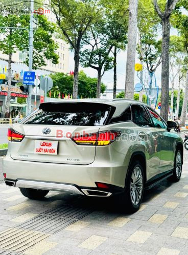Lexus RX 300 2019 - ảnh 2