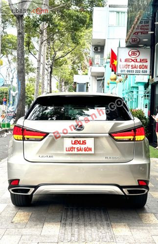 Lexus RX 300 2019 - ảnh 4