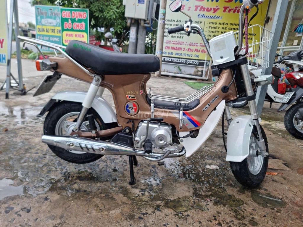 HALY CHA 2020 - ảnh 1