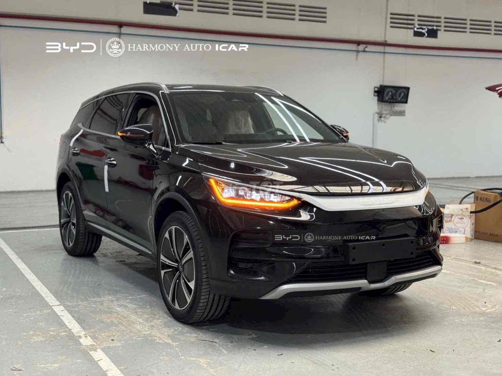 BYD - ảnh 1