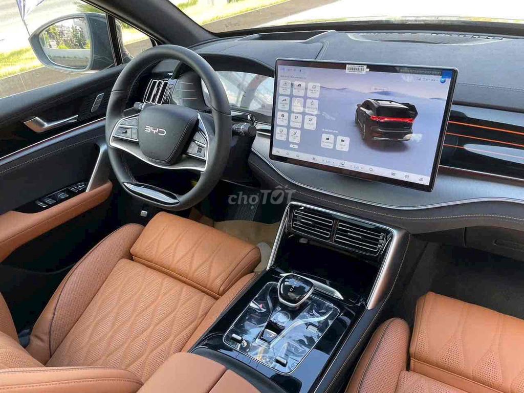 BYD - ảnh 4