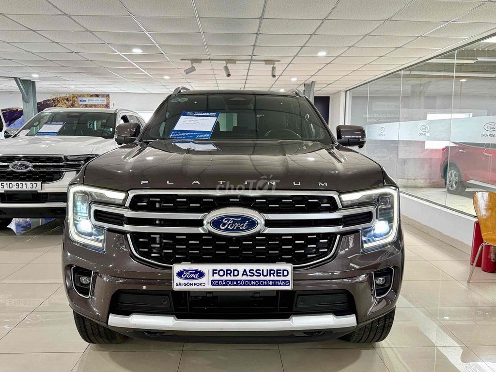 Ford - ảnh 1