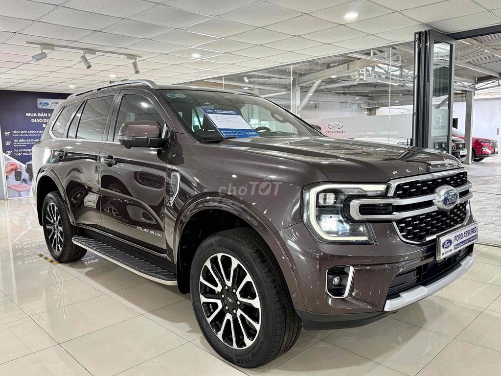 Ford - ảnh 2