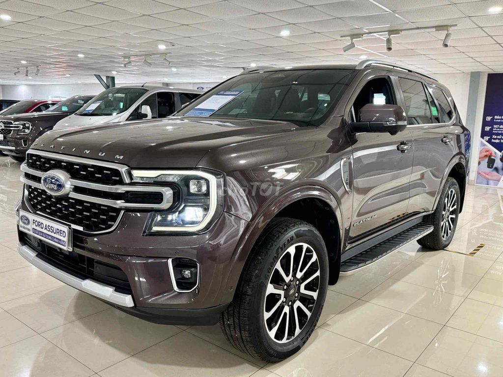 Ford - ảnh 3