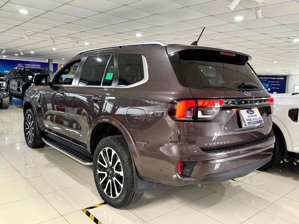 Ford - ảnh 4