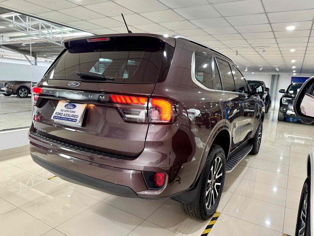 Ford - ảnh 5