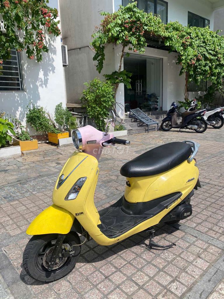 xe alizabet 2010 - ảnh 1