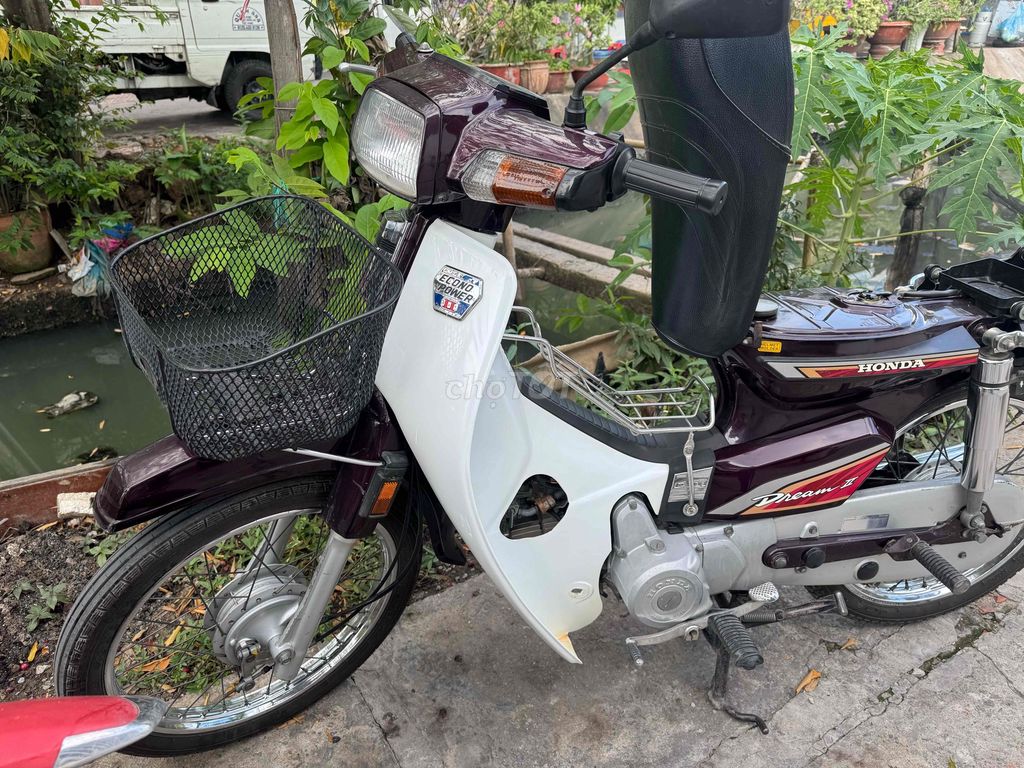 tem l 1995 - ảnh 1