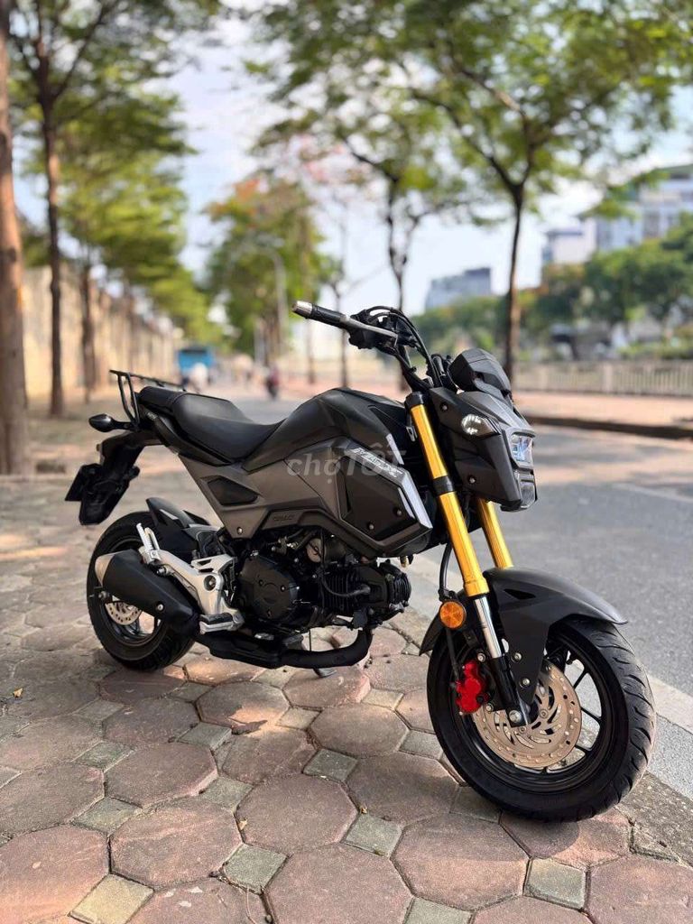 Honda MSX 2018 - ảnh 1