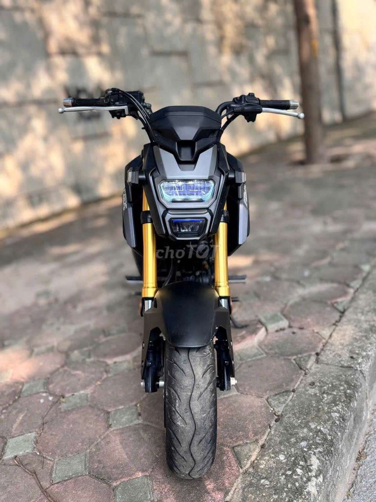 Honda MSX 2018 - ảnh 2