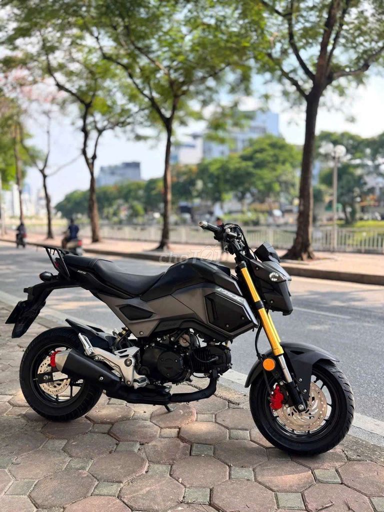 Honda MSX 2018 - ảnh 3