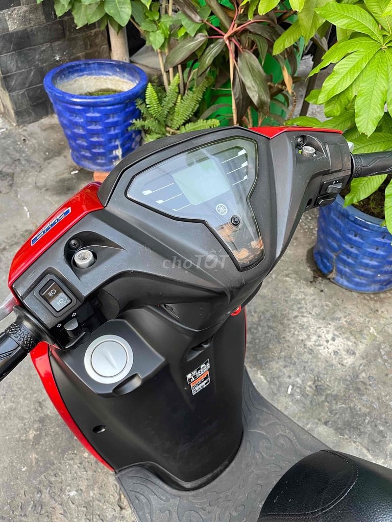 Yamaha FreeGo 2021 - ảnh 2