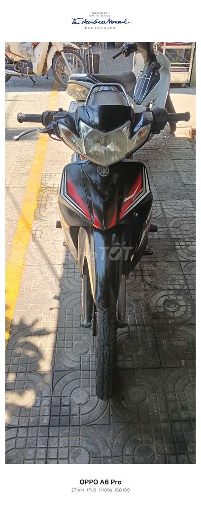 CẦN B 2011 - ảnh 4
