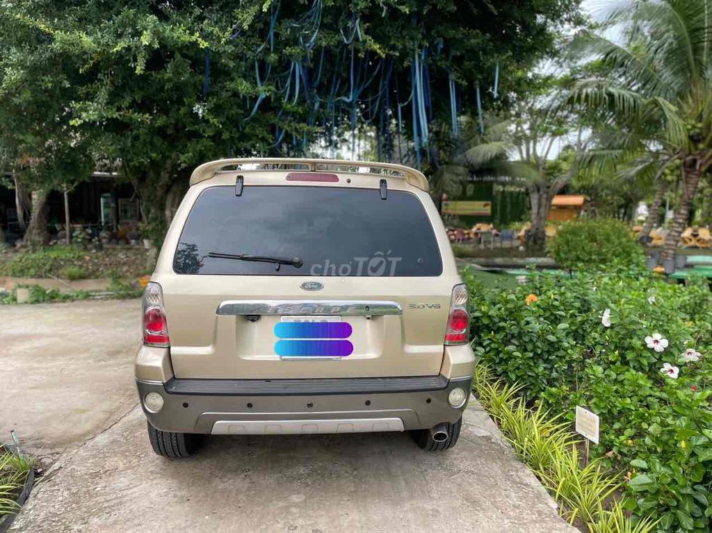 Ford Escape 2004 - ảnh 4