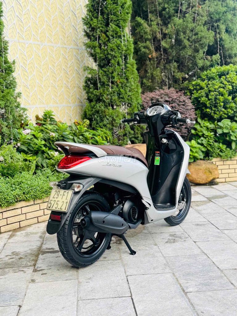 Yamaha Janus 2021 - ảnh 1