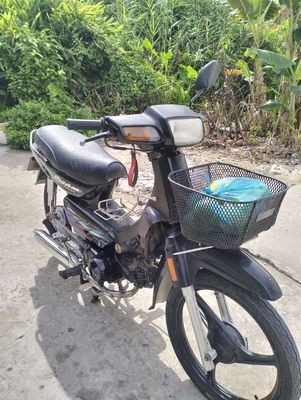 Honda Dream 1998 - ảnh 1
