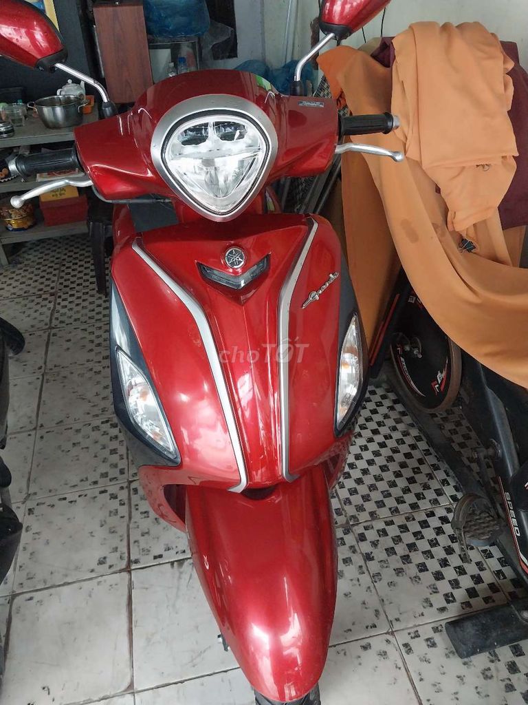 grande fi 2008 - ảnh 1