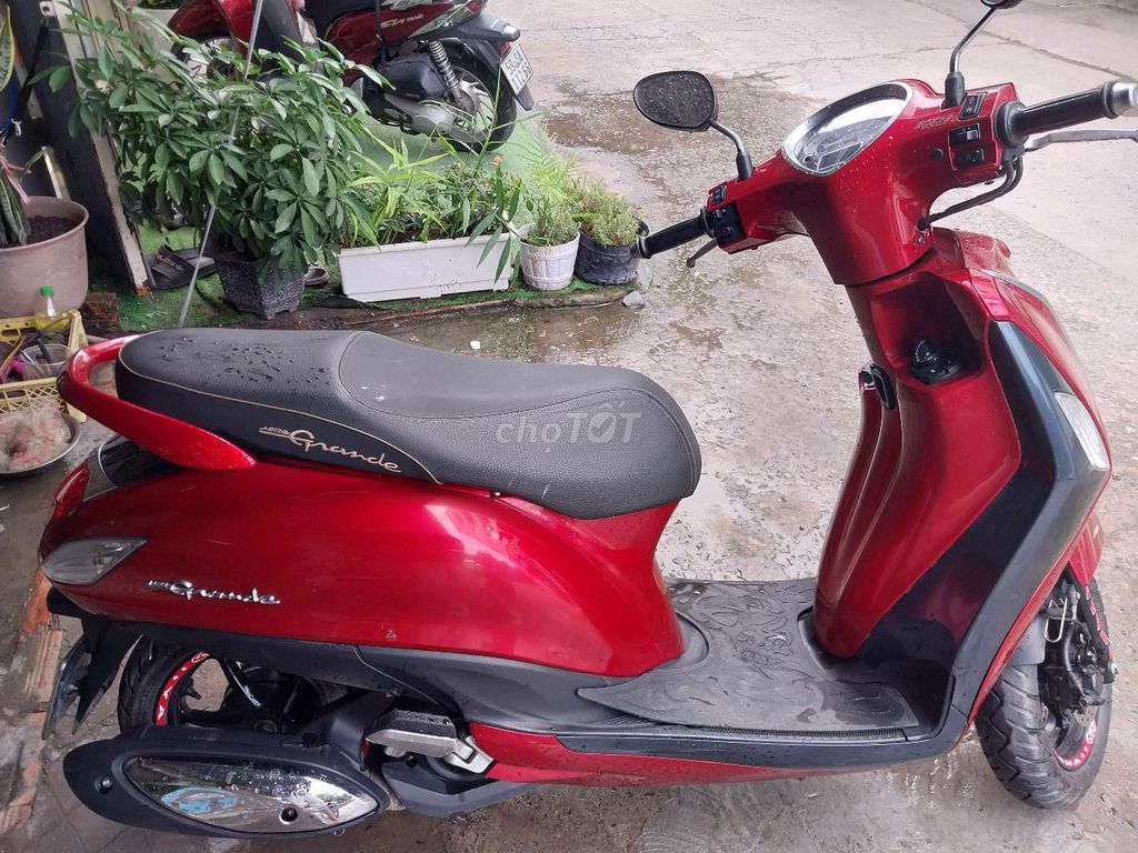 grande fi 2008 - ảnh 2